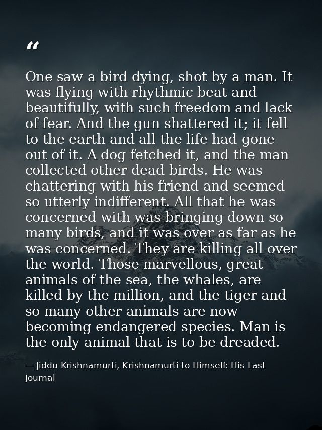 One saw a bird dying, shot by a man. It was flying with rhythmic beat and beautifully, with such freedom and lack of fea — Jiddu Krishnamurti, Krishnamurti to Himself: His Last Journal