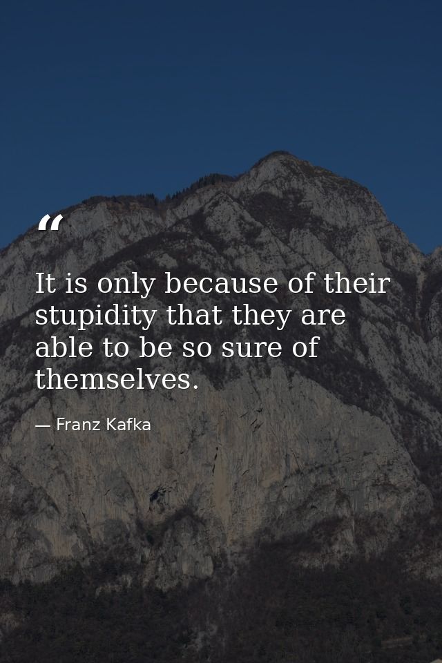 It is only because of their stupidity that they are able to be so sure of themselves. — Franz Kafka