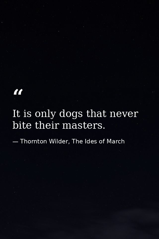 It is only dogs that never bite their masters. — Thornton Wilder, The Ides of March