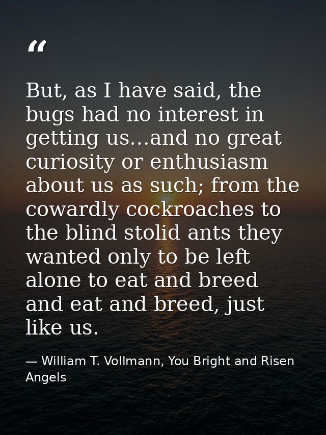 But, as I have said, the bugs had no interest in getting us…and no great curiosity or enthusiasm about us as such; from  — William T. Vollmann, You Bright and Risen Angels