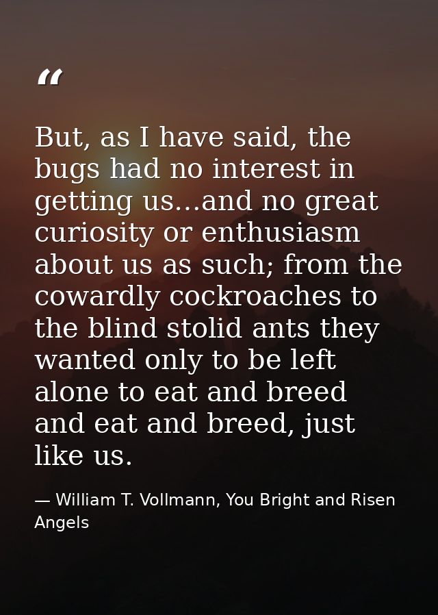 But, as I have said, the bugs had no interest in getting us…and no great curiosity or enthusiasm about us as such; from  — William T. Vollmann, You Bright and Risen Angels