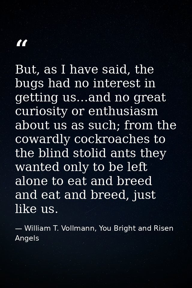But, as I have said, the bugs had no interest in getting us…and no great curiosity or enthusiasm about us as such; from  — William T. Vollmann, You Bright and Risen Angels