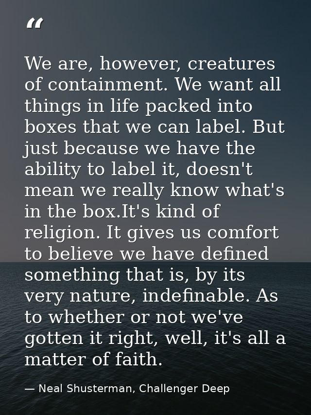 We are, however, creatures of containment. We want all things in life packed into boxes that we can label. But just beca — Neal Shusterman, Challenger Deep