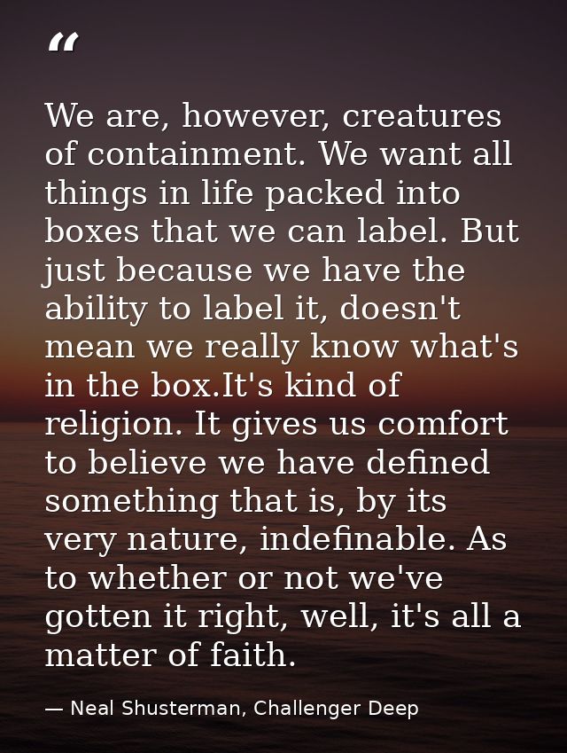 We are, however, creatures of containment. We want all things in life packed into boxes that we can label. But just beca — Neal Shusterman, Challenger Deep