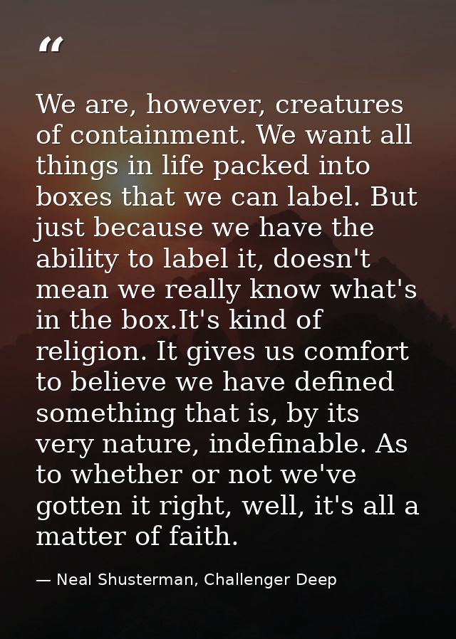 We are, however, creatures of containment. We want all things in life packed into boxes that we can label. But just beca — Neal Shusterman, Challenger Deep