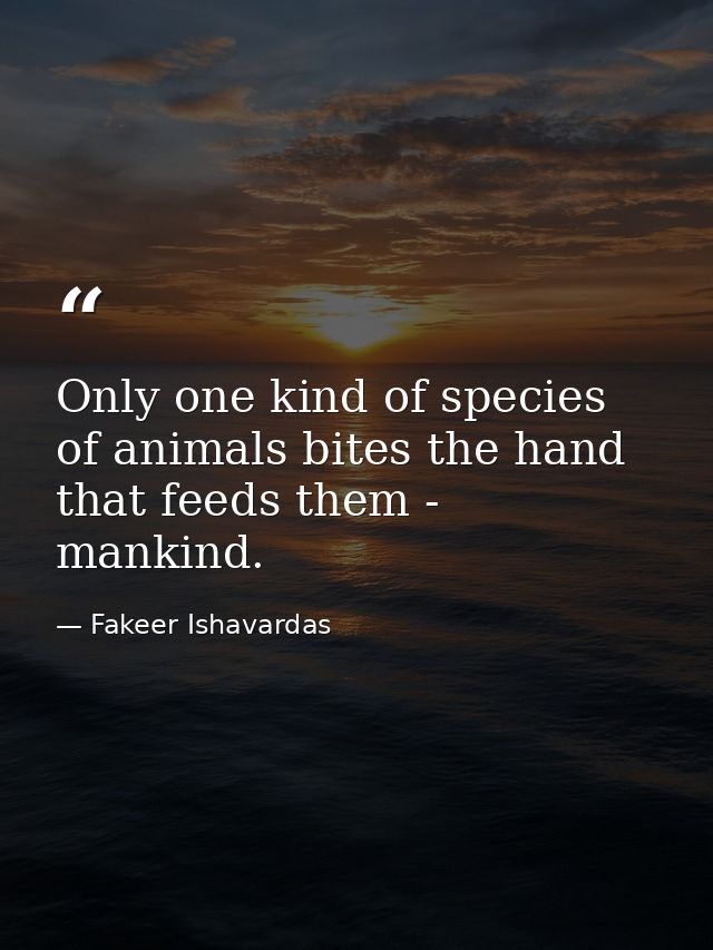 Only one kind of species of animals bites the hand that feeds them - mankind. — Fakeer Ishavardas