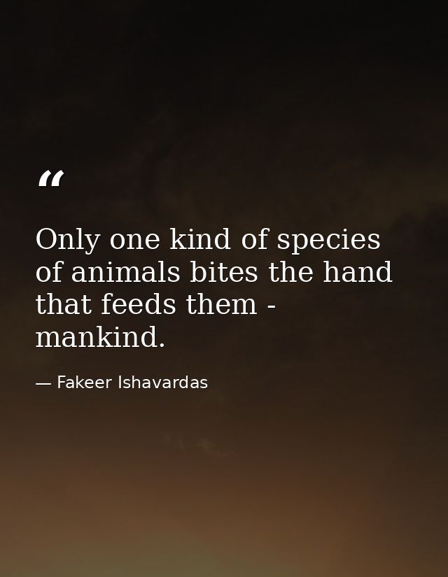 Only one kind of species of animals bites the hand that feeds them - mankind. — Fakeer Ishavardas