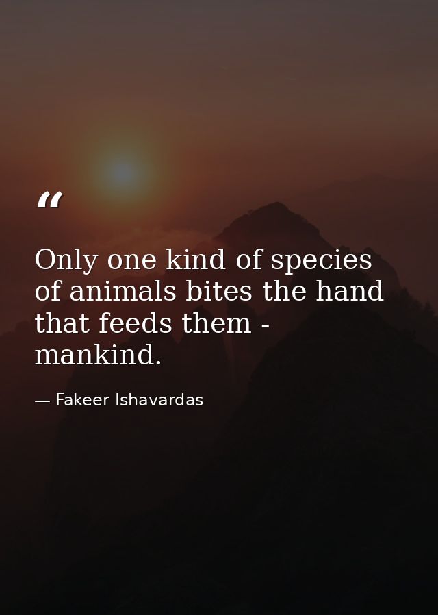 Only one kind of species of animals bites the hand that feeds them - mankind. — Fakeer Ishavardas