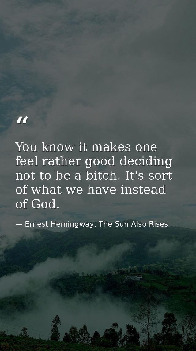 You know it makes one feel rather good deciding not to be a bitch. It's sort of what we have instead of God. — Ernest Hemingway, The Sun Also Rises