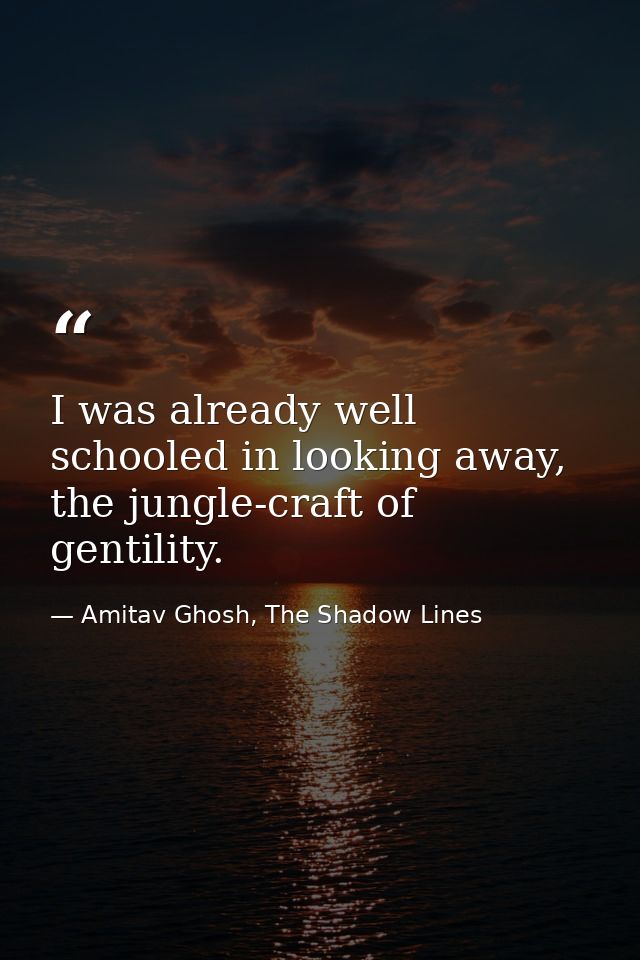 I was already well schooled in looking away, the jungle-craft of gentility. — Amitav Ghosh, The Shadow Lines