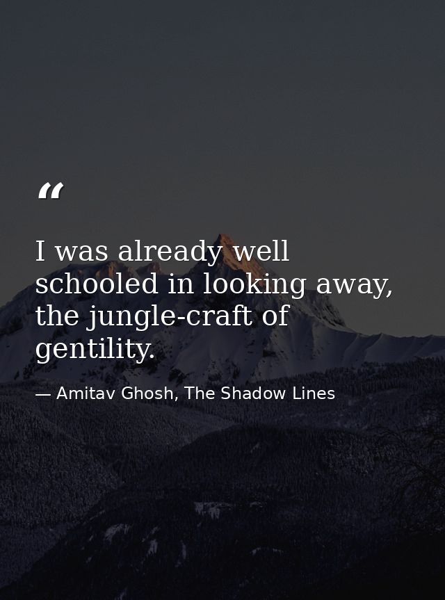 I was already well schooled in looking away, the jungle-craft of gentility. — Amitav Ghosh, The Shadow Lines