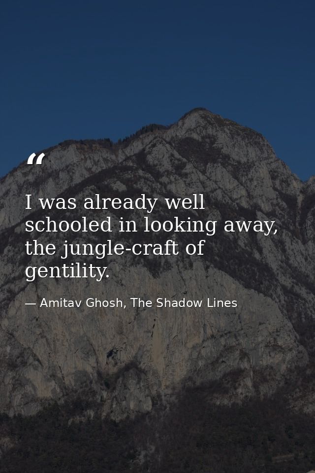 I was already well schooled in looking away, the jungle-craft of gentility. — Amitav Ghosh, The Shadow Lines