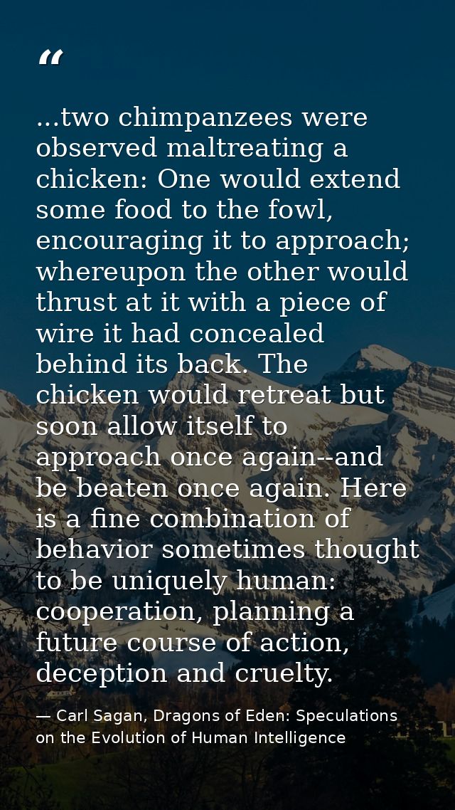 ...two chimpanzees were observed maltreating a chicken: One would extend some food to the fowl, encouraging it to approa — Carl Sagan, Dragons of Eden: Speculations on the Evolution of Human Intelligence