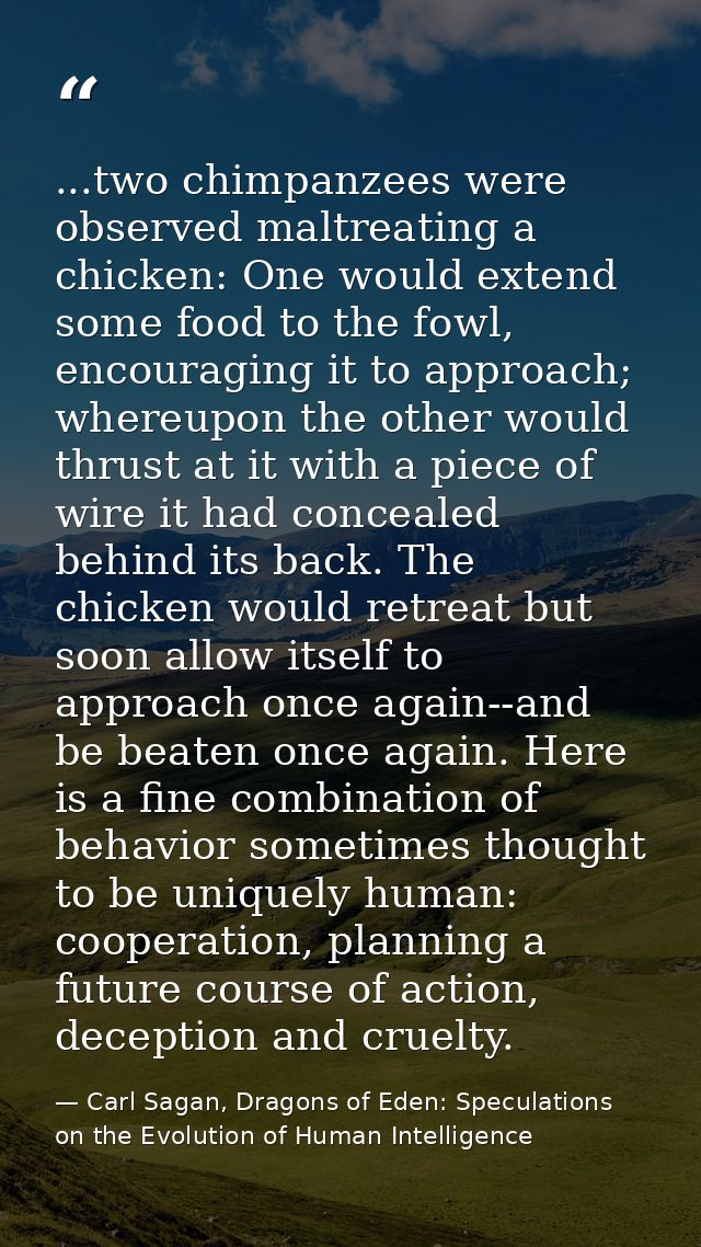 ...two chimpanzees were observed maltreating a chicken: One would extend some food to the fowl, encouraging it to approa — Carl Sagan, Dragons of Eden: Speculations on the Evolution of Human Intelligence