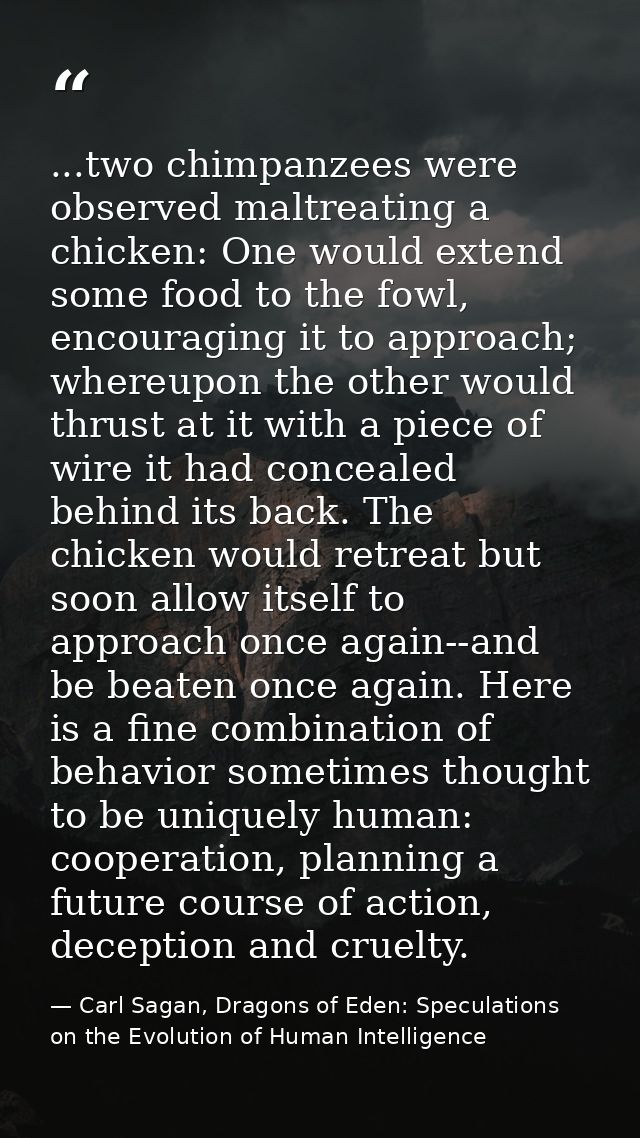 ...two chimpanzees were observed maltreating a chicken: One would extend some food to the fowl, encouraging it to approa — Carl Sagan, Dragons of Eden: Speculations on the Evolution of Human Intelligence