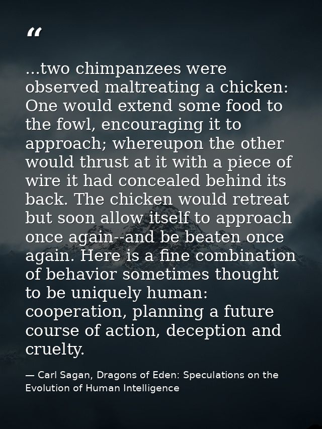 ...two chimpanzees were observed maltreating a chicken: One would extend some food to the fowl, encouraging it to approa — Carl Sagan, Dragons of Eden: Speculations on the Evolution of Human Intelligence