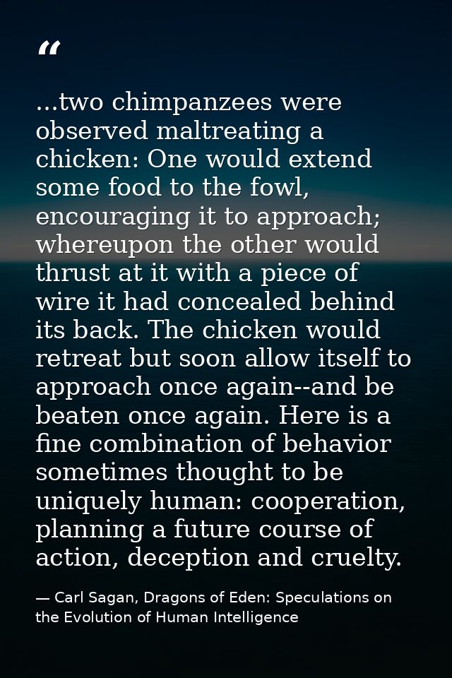 ...two chimpanzees were observed maltreating a chicken: One would extend some food to the fowl, encouraging it to approa — Carl Sagan, Dragons of Eden: Speculations on the Evolution of Human Intelligence