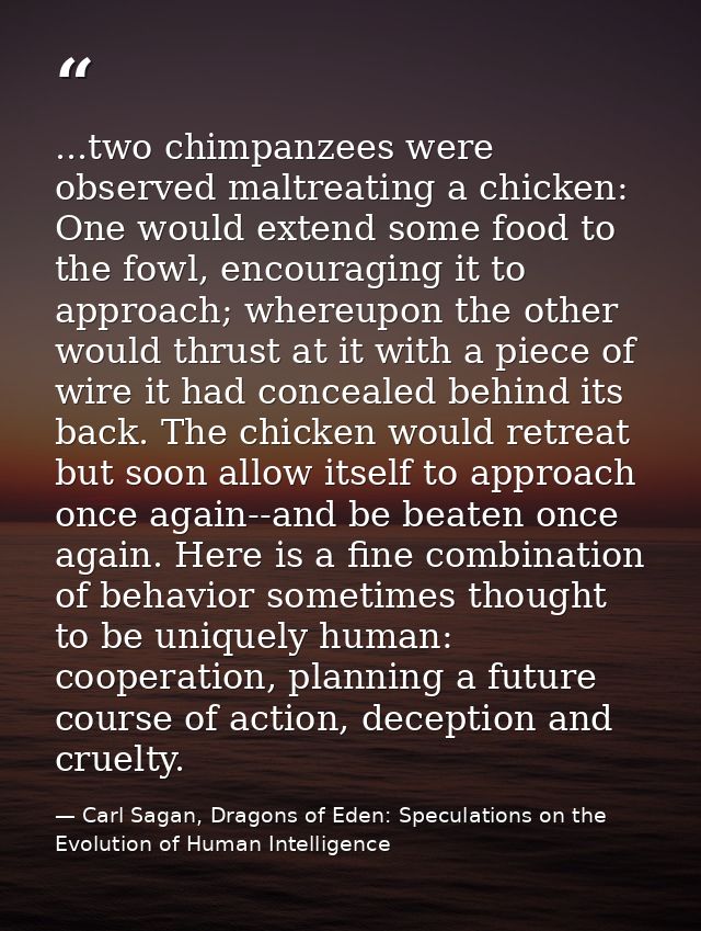 ...two chimpanzees were observed maltreating a chicken: One would extend some food to the fowl, encouraging it to approa — Carl Sagan, Dragons of Eden: Speculations on the Evolution of Human Intelligence