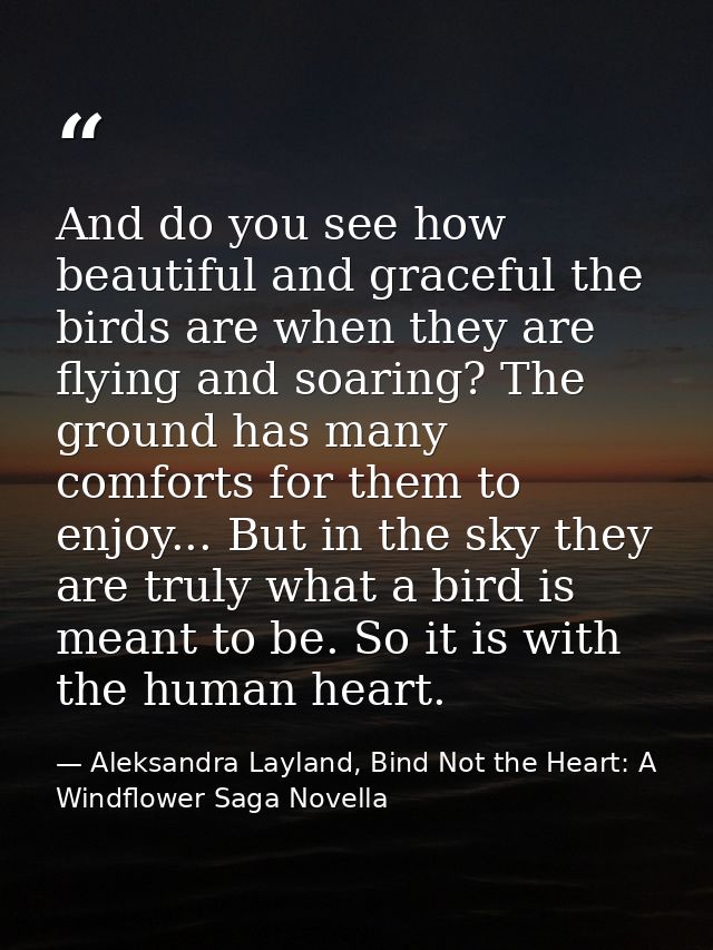 And do you see how beautiful and graceful the birds are when they are flying and soaring? The ground has many comforts f — Aleksandra Layland, Bind Not the Heart: A Windflower Saga Novella