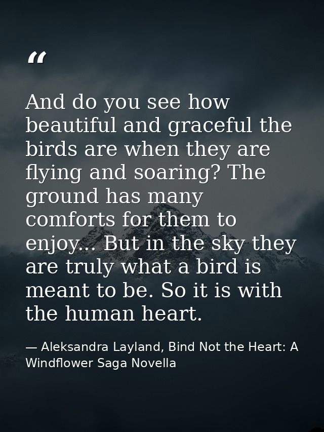 And do you see how beautiful and graceful the birds are when they are flying and soaring? The ground has many comforts f — Aleksandra Layland, Bind Not the Heart: A Windflower Saga Novella