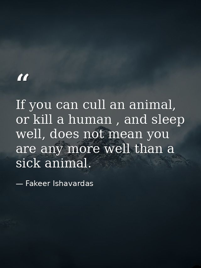 If you can cull an animal, or kill a human , and sleep well, does not mean you are any more well than a sick animal. — Fakeer Ishavardas