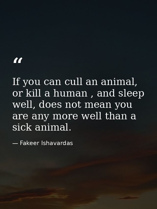 If you can cull an animal, or kill a human , and sleep well, does not mean you are any more well than a sick animal. — Fakeer Ishavardas