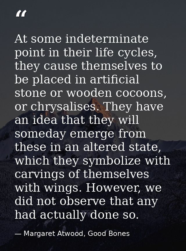 At some indeterminate point in their life cycles, they cause themselves to be placed in artificial stone or wooden cocoo — Margaret Atwood, Good Bones