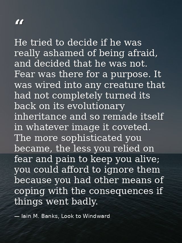 He tried to decide if he was really ashamed of being afraid, and decided that he was not. Fear was there for a purpose.  — Iain M. Banks, Look to Windward