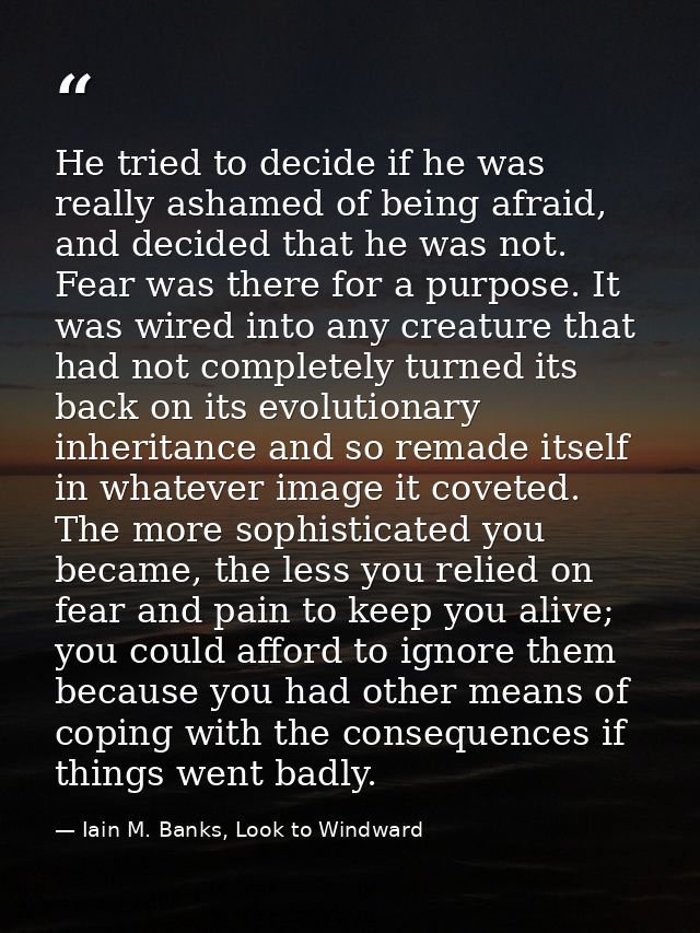 He tried to decide if he was really ashamed of being afraid, and decided that he was not. Fear was there for a purpose.  — Iain M. Banks, Look to Windward