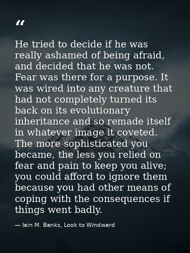 He tried to decide if he was really ashamed of being afraid, and decided that he was not. Fear was there for a purpose.  — Iain M. Banks, Look to Windward