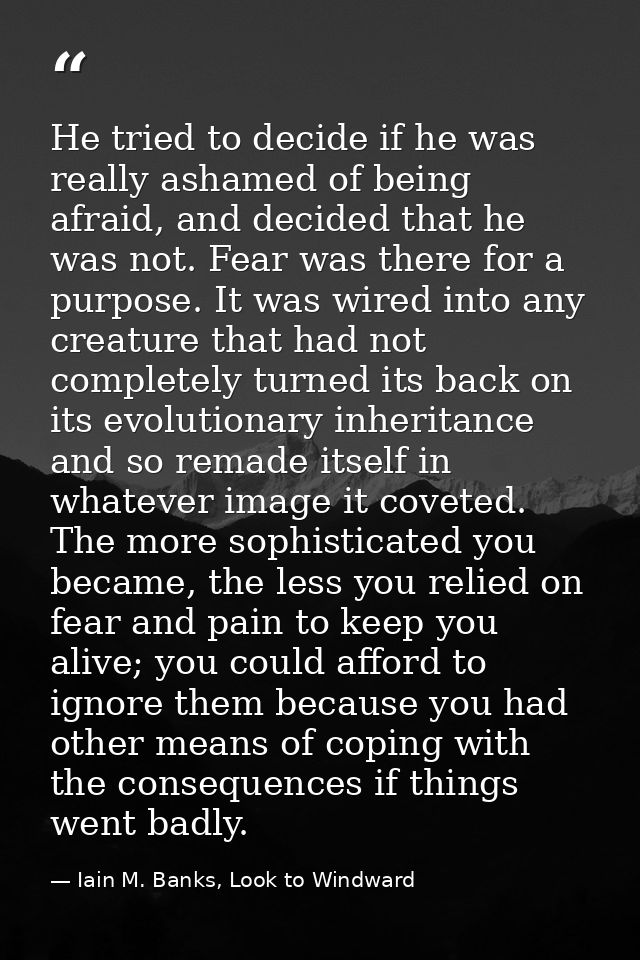 He tried to decide if he was really ashamed of being afraid, and decided that he was not. Fear was there for a purpose.  — Iain M. Banks, Look to Windward