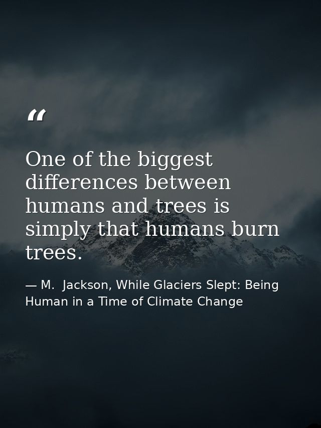 One of the biggest differences between humans and trees is simply that humans burn trees. — M.  Jackson, While Glaciers Slept: Being Human in a Time of Climate Change