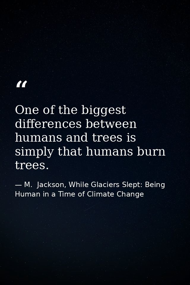 One of the biggest differences between humans and trees is simply that humans burn trees. — M.  Jackson, While Glaciers Slept: Being Human in a Time of Climate Change