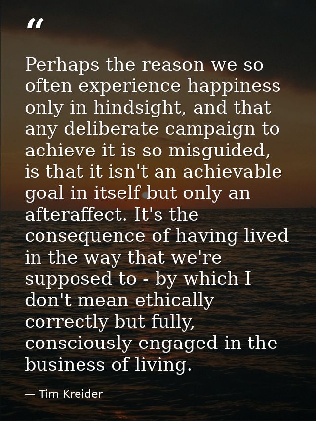 Perhaps the reason we so often experience happiness only in hindsight, and that any deliberate campaign to achieve it is — Tim Kreider