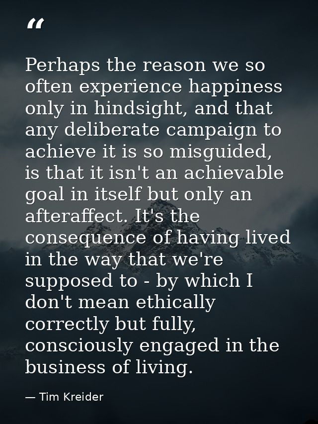 Perhaps the reason we so often experience happiness only in hindsight, and that any deliberate campaign to achieve it is — Tim Kreider