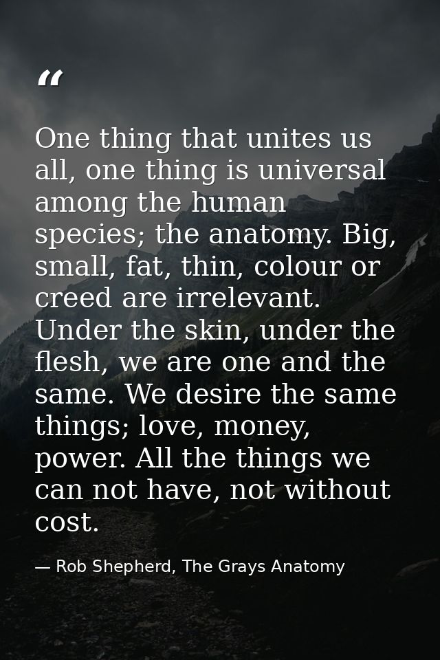 One thing that unites us all, one thing is universal among the human species; the anatomy. Big, small, fat, thin, colour — Rob Shepherd, The Grays Anatomy