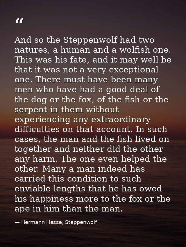 And so the Steppenwolf had two natures, a human and a wolfish one. This was his fate, and it may well be that it was not — Hermann Hesse, Steppenwolf