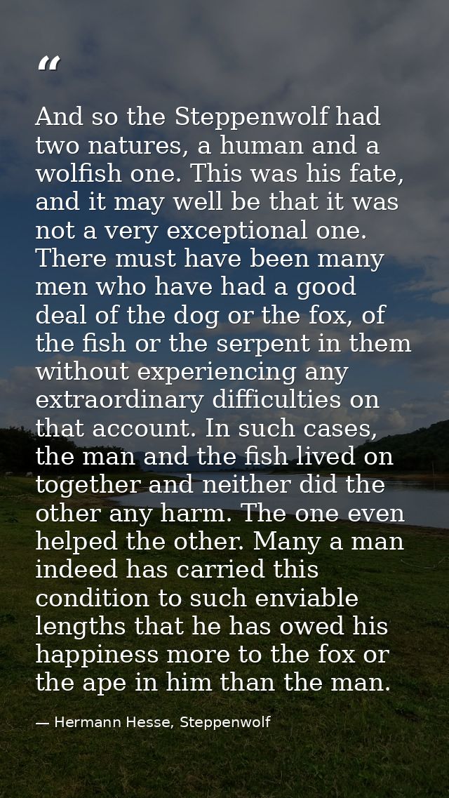 And so the Steppenwolf had two natures, a human and a wolfish one. This was his fate, and it may well be that it was not — Hermann Hesse, Steppenwolf