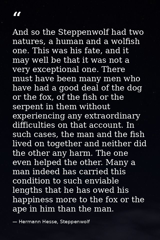 And so the Steppenwolf had two natures, a human and a wolfish one. This was his fate, and it may well be that it was not — Hermann Hesse, Steppenwolf