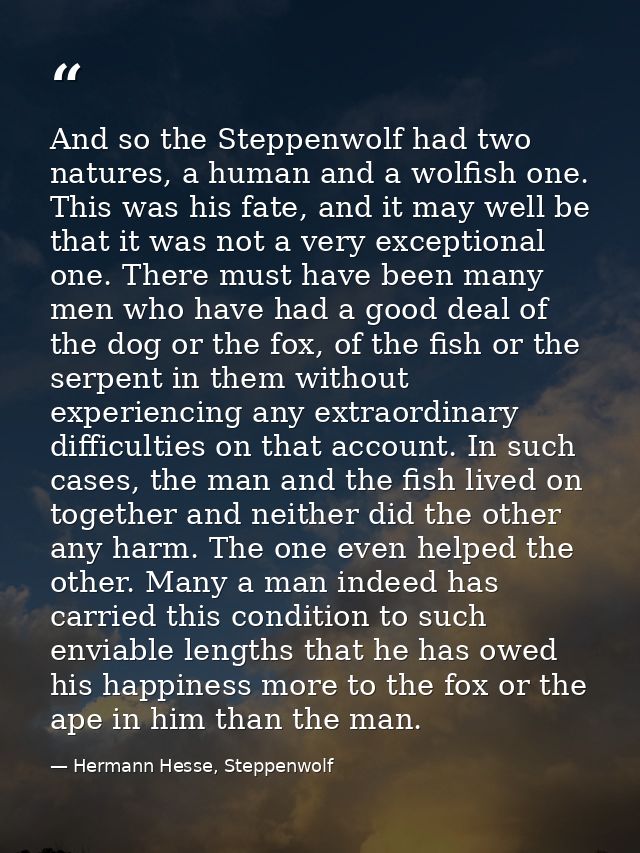 And so the Steppenwolf had two natures, a human and a wolfish one. This was his fate, and it may well be that it was not — Hermann Hesse, Steppenwolf