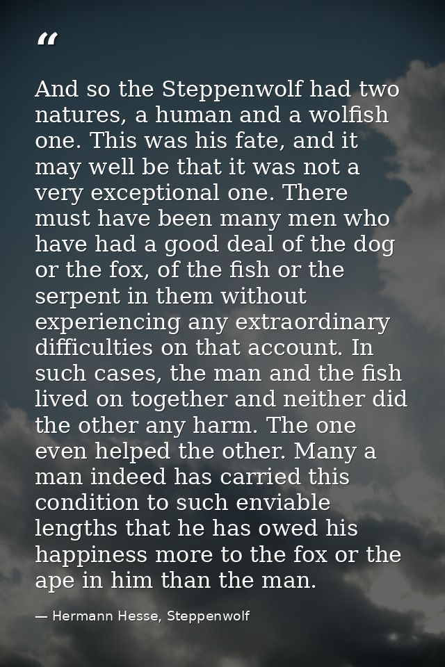 And so the Steppenwolf had two natures, a human and a wolfish one. This was his fate, and it may well be that it was not — Hermann Hesse, Steppenwolf