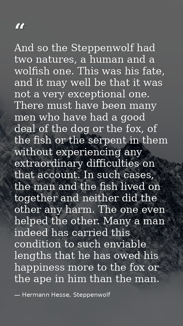 And so the Steppenwolf had two natures, a human and a wolfish one. This was his fate, and it may well be that it was not — Hermann Hesse, Steppenwolf