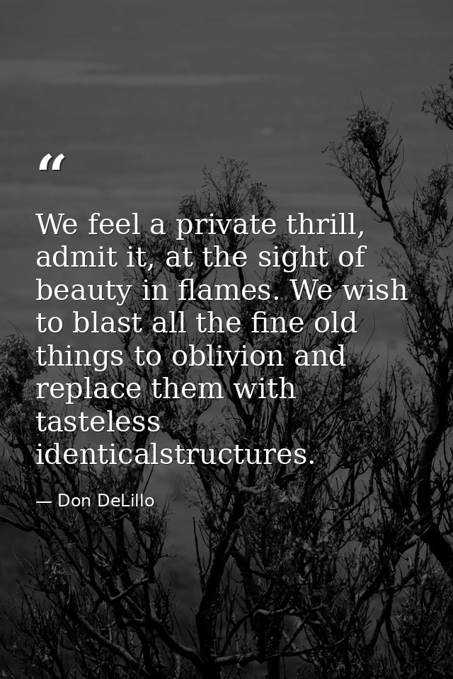 We feel a private thrill, admit it, at the sight of beauty in flames. We wish to blast all the fine old things to oblivi — Don DeLillo