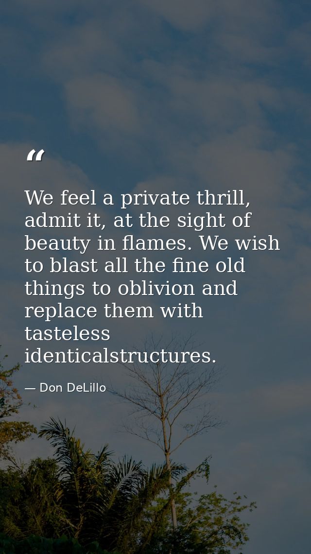 We feel a private thrill, admit it, at the sight of beauty in flames. We wish to blast all the fine old things to oblivi — Don DeLillo