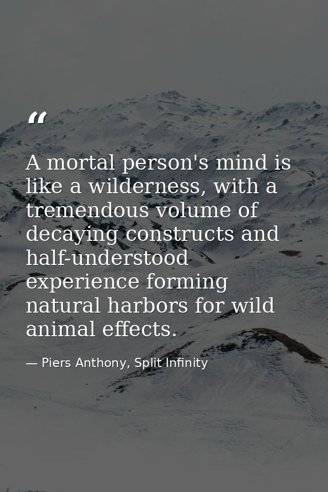 A mortal person's mind is like a wilderness, with a tremendous volume of decaying constructs and half-understood experie — Piers Anthony, Split Infinity