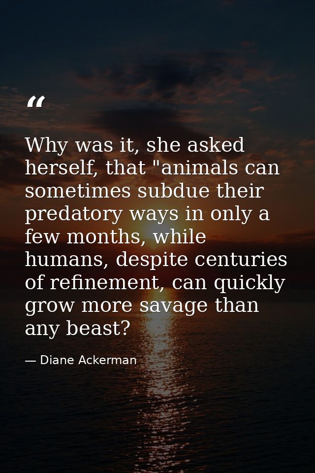Why was it, she asked herself, that "animals can sometimes subdue their predatory ways in only a few months, while human — Diane Ackerman