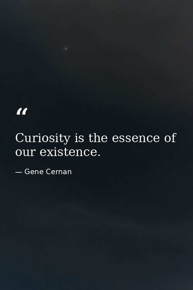 Curiosity is the essence of our existence. — Gene Cernan