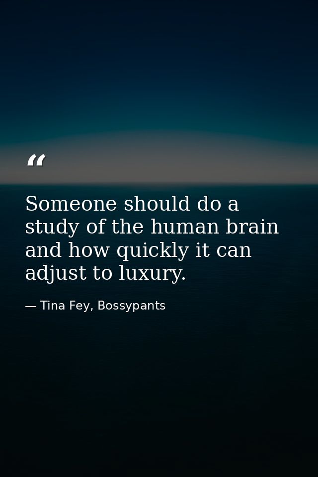 Someone should do a study of the human brain and how quickly it can adjust to luxury. — Tina Fey, Bossypants