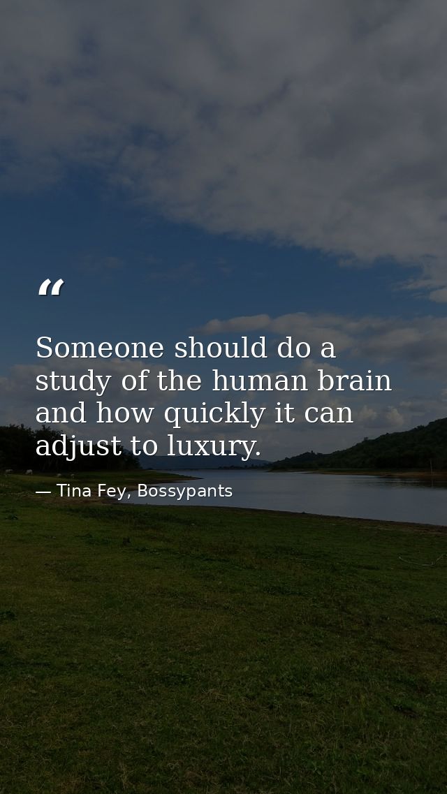 Someone should do a study of the human brain and how quickly it can adjust to luxury. — Tina Fey, Bossypants