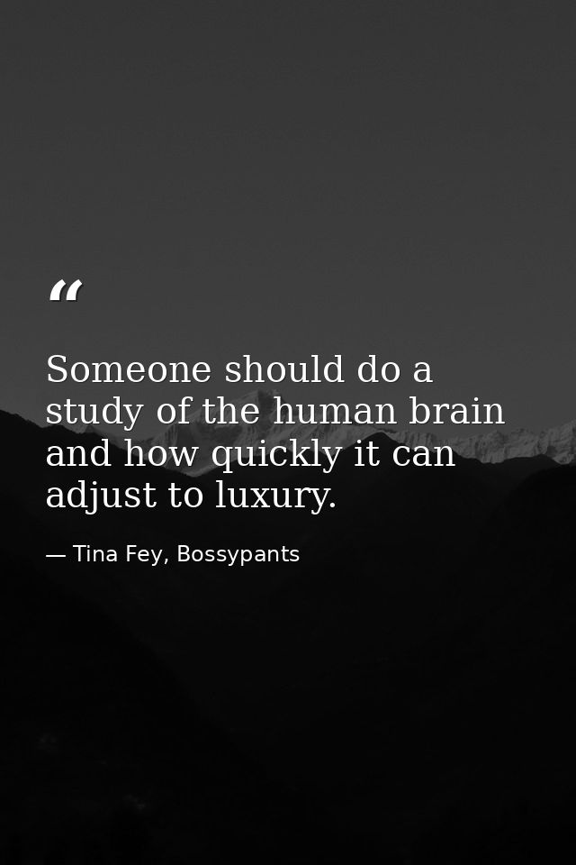 Someone should do a study of the human brain and how quickly it can adjust to luxury. — Tina Fey, Bossypants